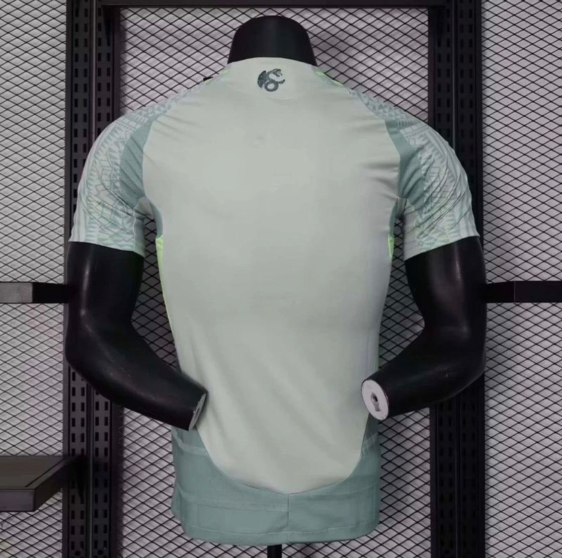 Mexico National 2024 Away Player